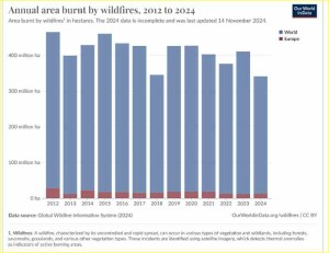 wildfires_resized