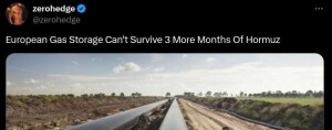 zerohedge auf X „European Gas Storage Can't Survive 3 More Months Of Hormuz